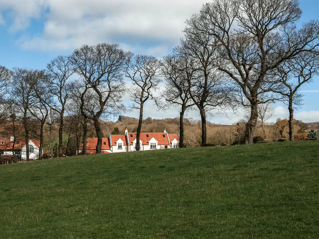 Looking up the hill, to some tall leafless trees on the other side, and the orange rooftops of the houses, with a view to the peak of Roseberry Topping in the distance, partway through the circular walk.