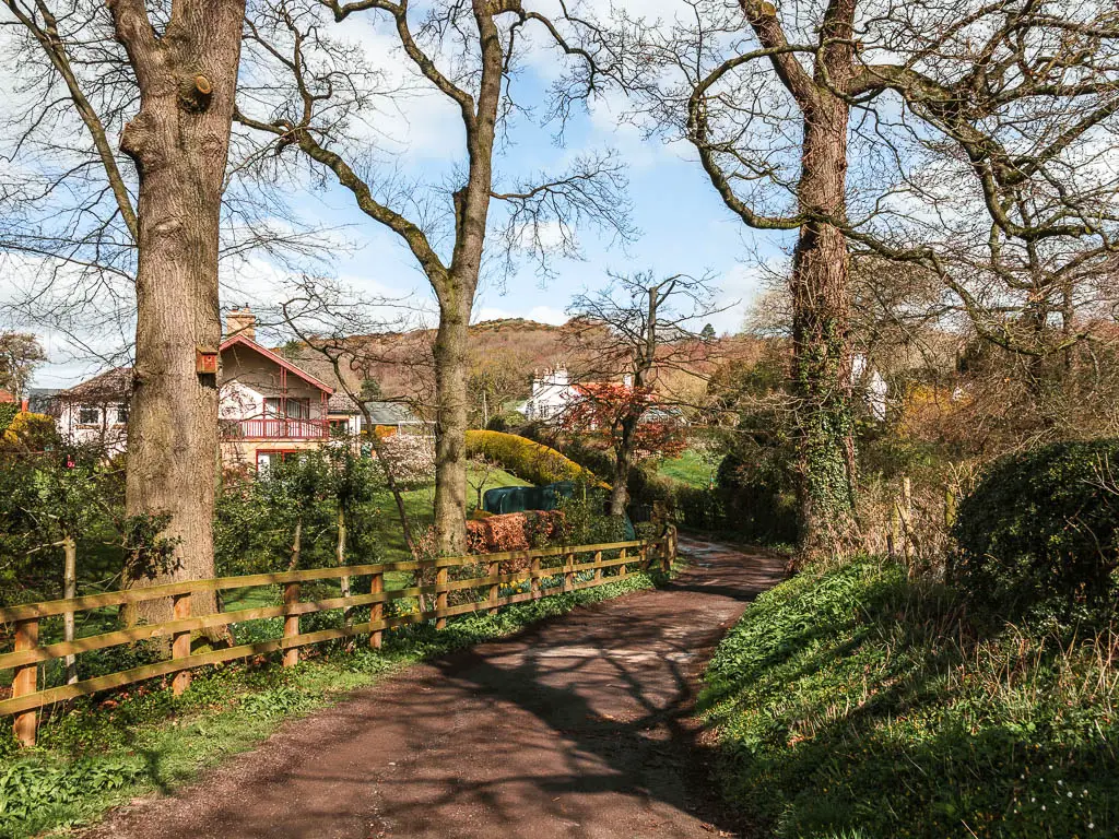 A road lined with grass and hedges on the right and a wooden fence on the left, with a few big trees, and a peak through them to a pretty house.