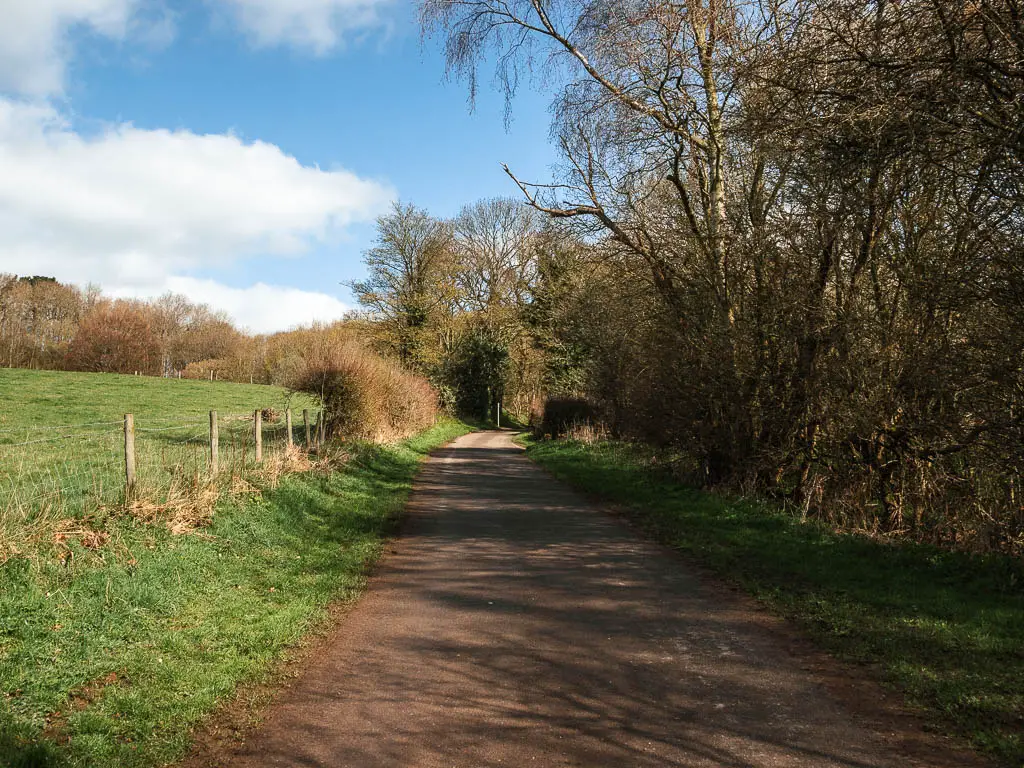 A country type road leading uphill, with a mass of trees and bushes to the right, and a wire fence and green grass field to the left.