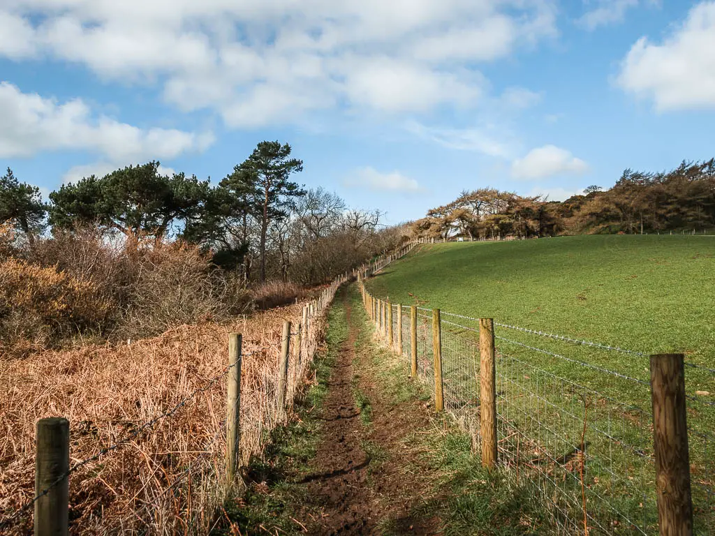 A narrow dirt trail leading uphill, lined with a wire fence on either side, leading to woodland trees ahead.