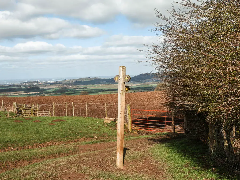 A wooden trail signpost with yellow arrows in the field. with a wire fence leading to a crop field behind it, and big bush to the right.