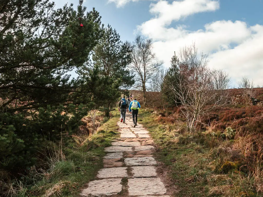 A stone paved path leading up on there walk towards Captain Cook's Monument. The path is lined with small trees, grass and bushes, and there are some people walking it.