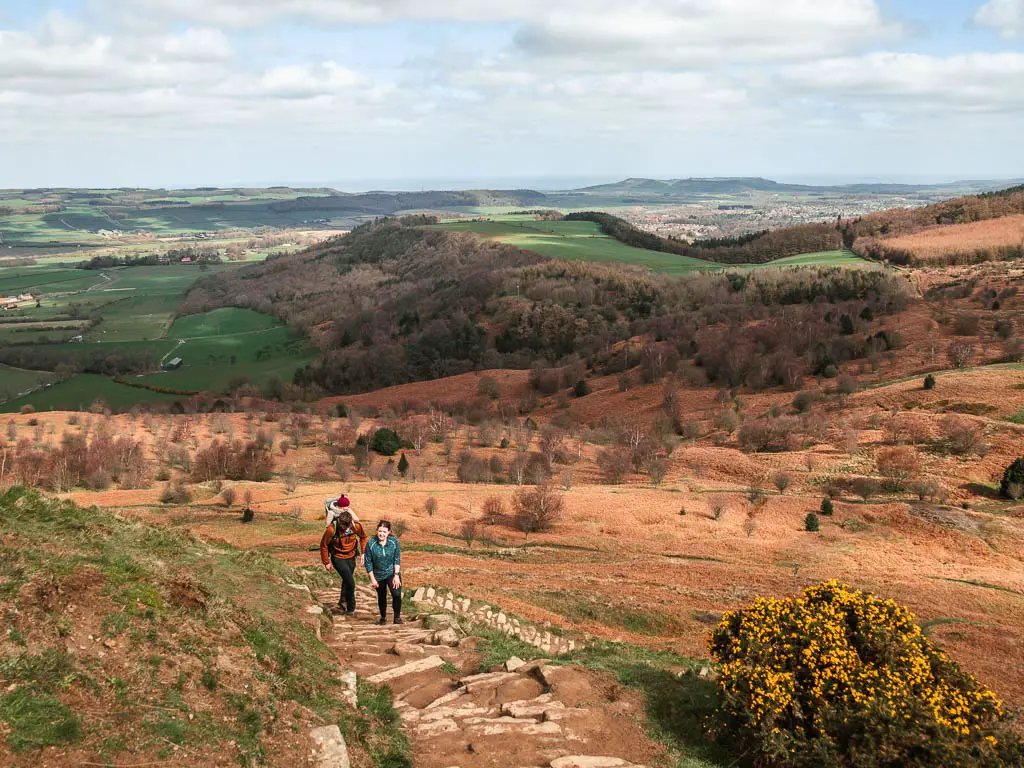 Looking down along the stone steps with people walking up them, and a view beyond to the vast expansion of fields and woodland below.
