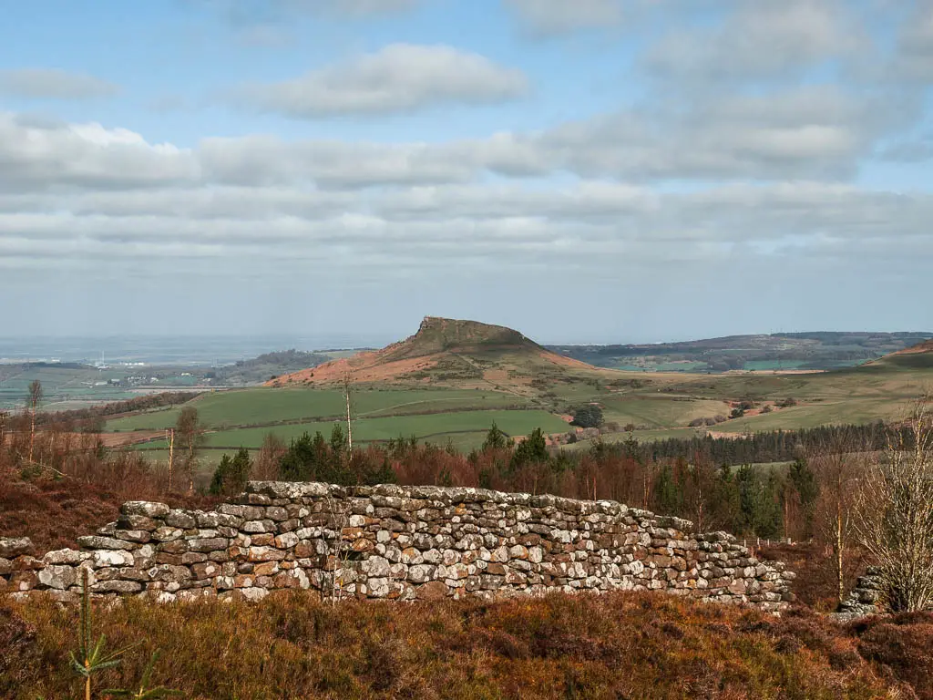 Looking across a stone wall and the tree tops, towards Roseberry Topping in the distance, on the walk up to the Captain Cook's Monument.