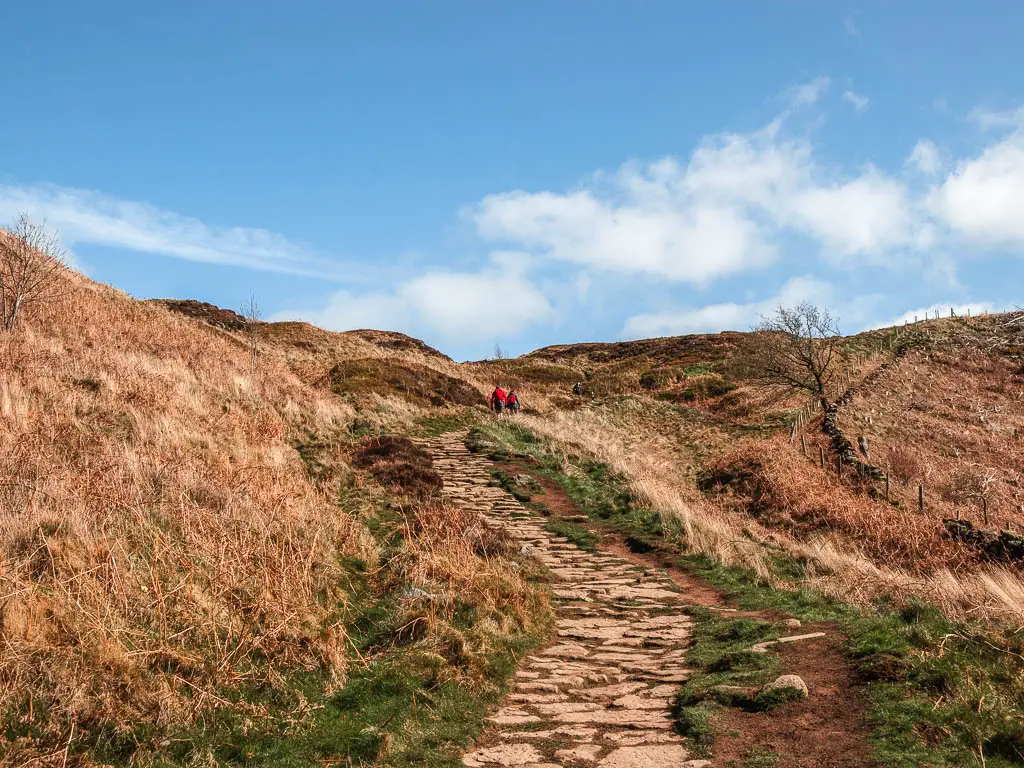 A stone paved trail leading uphill, surround by overgrown wild grass and dead orange fern.