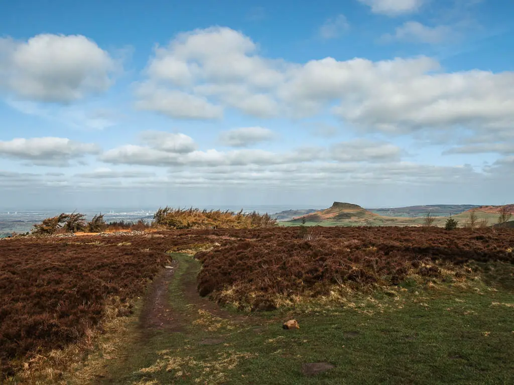 A dirt trail through the brown heather, with a view to Roseberry Topping in the distance.