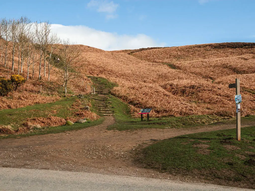 A dirt path leading to some steps up the hill. There is a wooden trail signpost on the right.
