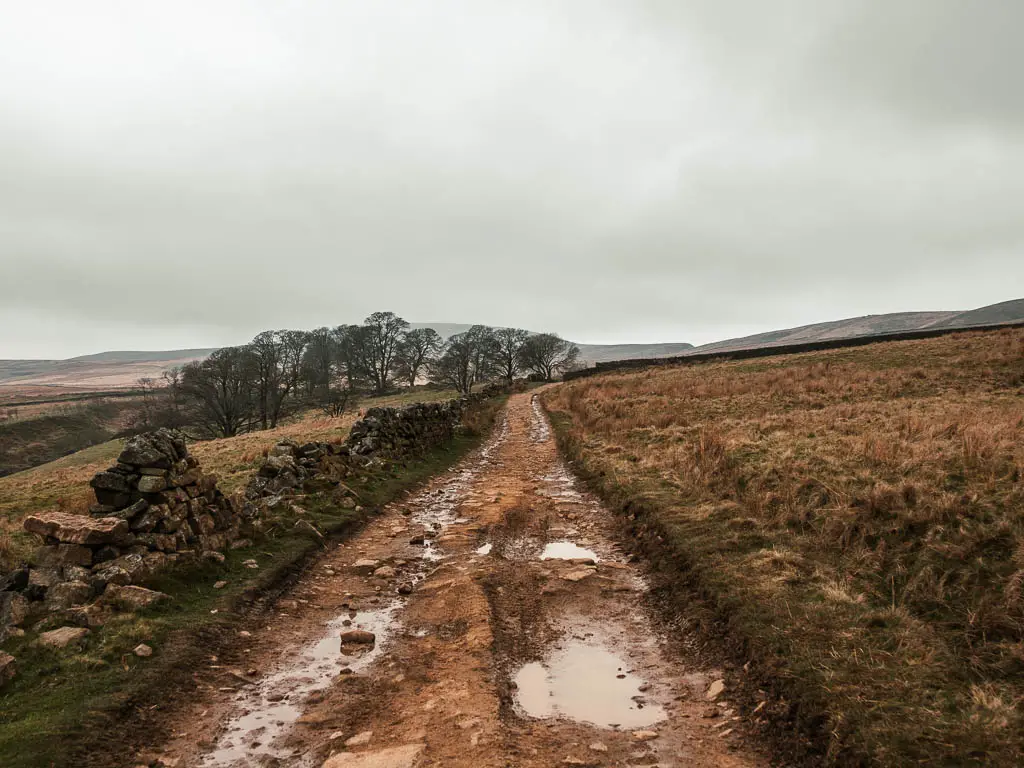 A rugged stoney dirt trail, on the walk around the Scar House Reservoir. There are the ruins of a stone wall on the left side of the trail, and a group of woodland trees ahead.