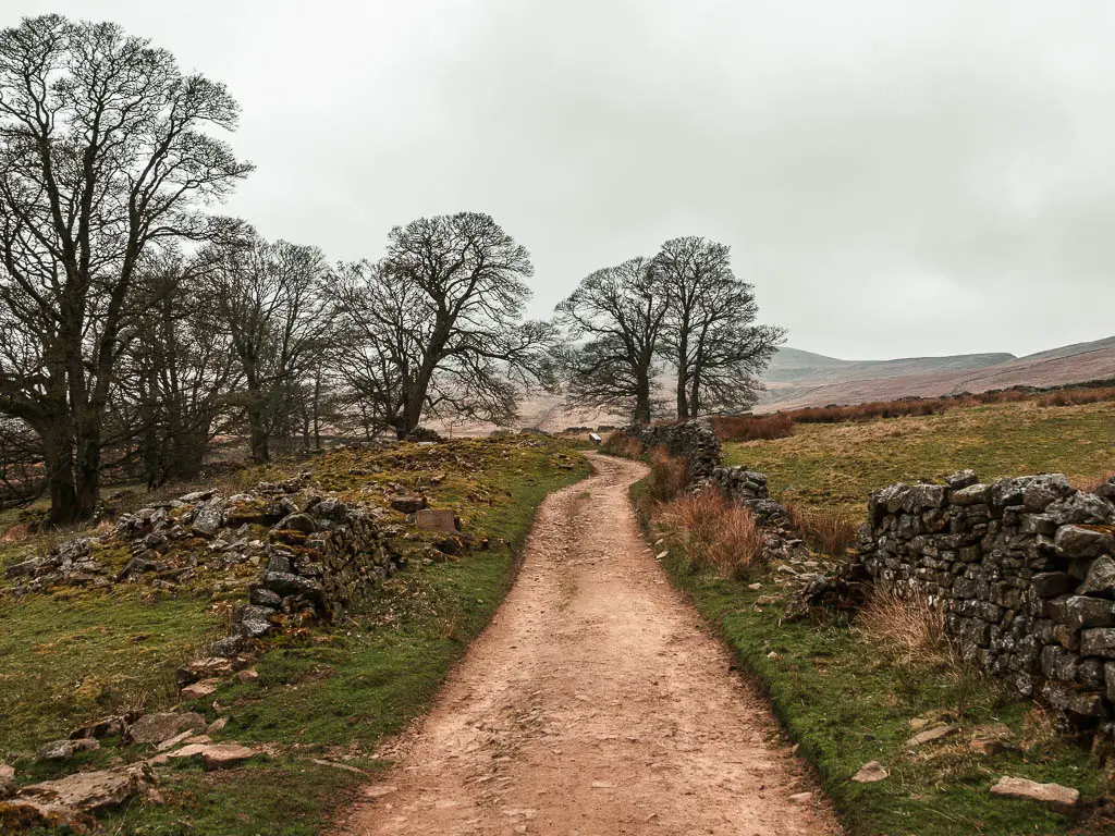 A rugged dirt trail lined with stone wall ruins and a few leafless trees ahed. 