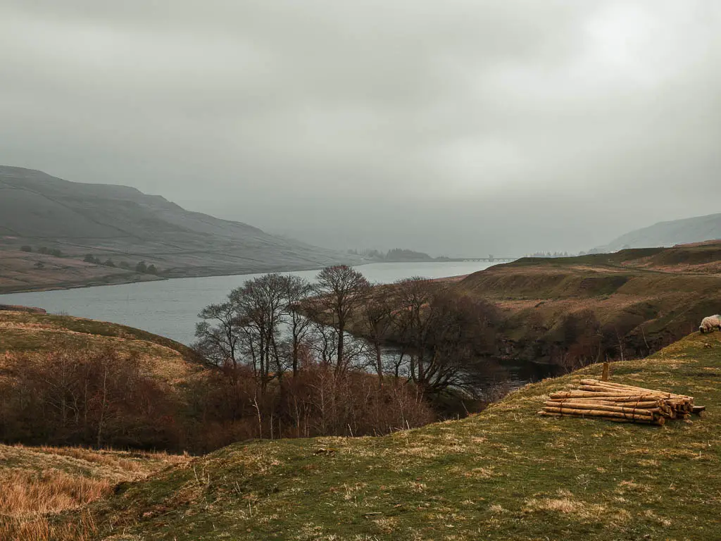 Looking down the unduaklting hills to a group of trees and the reservoir stretching into the distance.