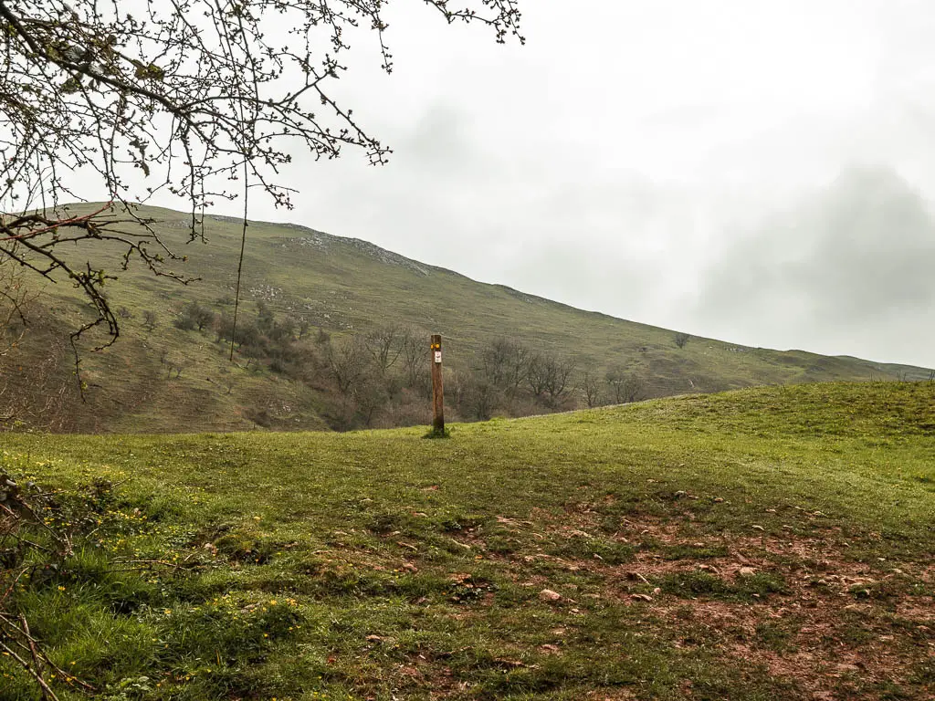 A wooden trail signpost on top of a hill.