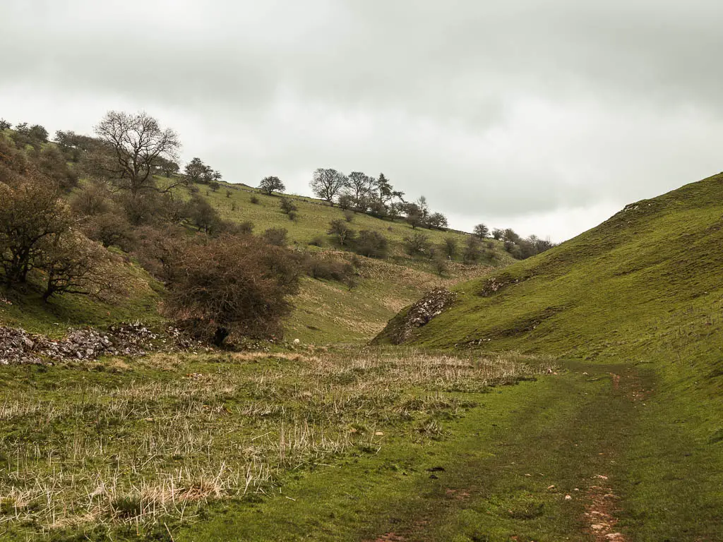 A grass trail through the valley. There are a few bushes and trees dotted about on the hill on the left.