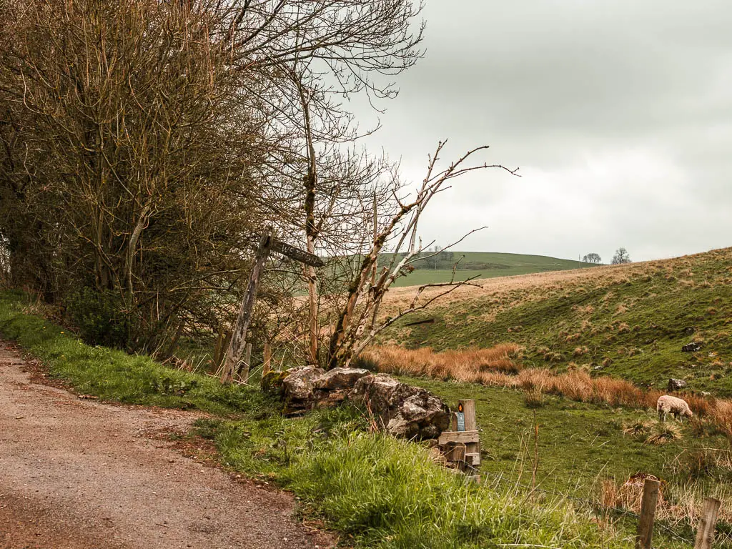 A wooden trail signpost on the right side of the road, pointing to the grass field and hill.