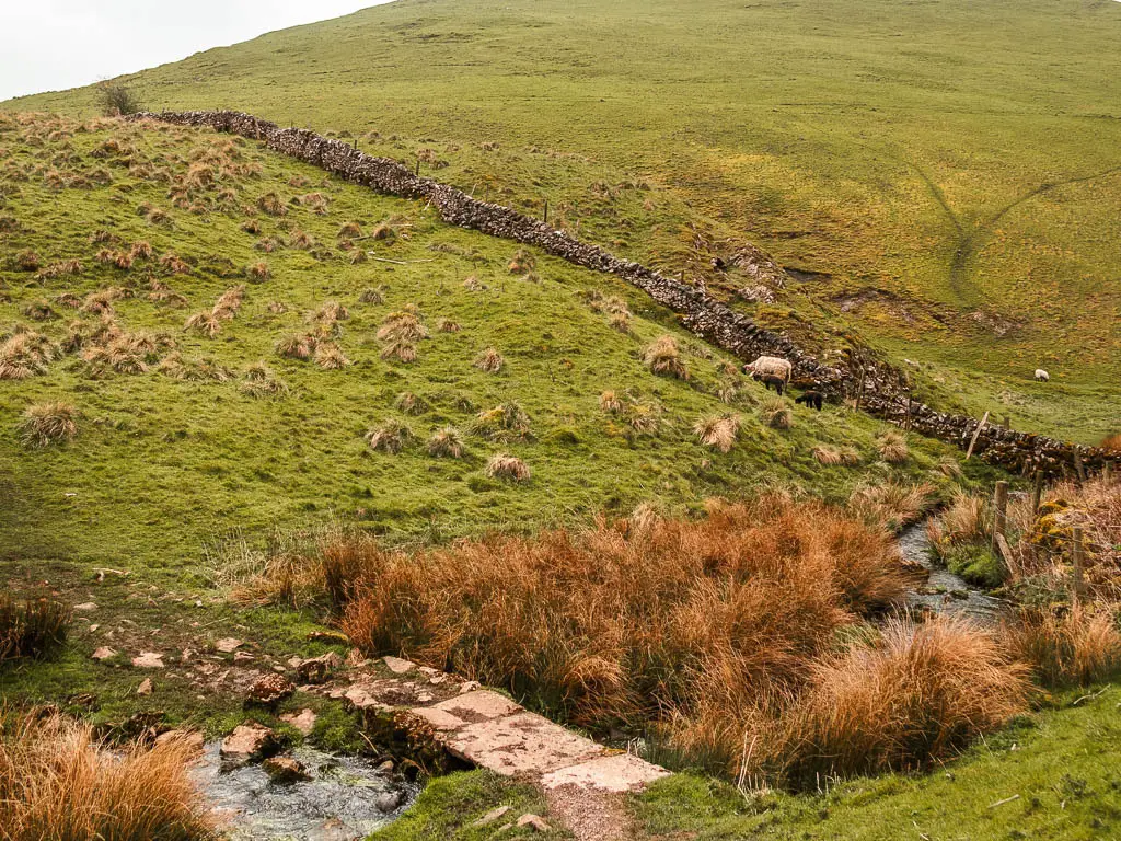 A stone bridge walkway over the stream, with a steep hill rising up on the other side.