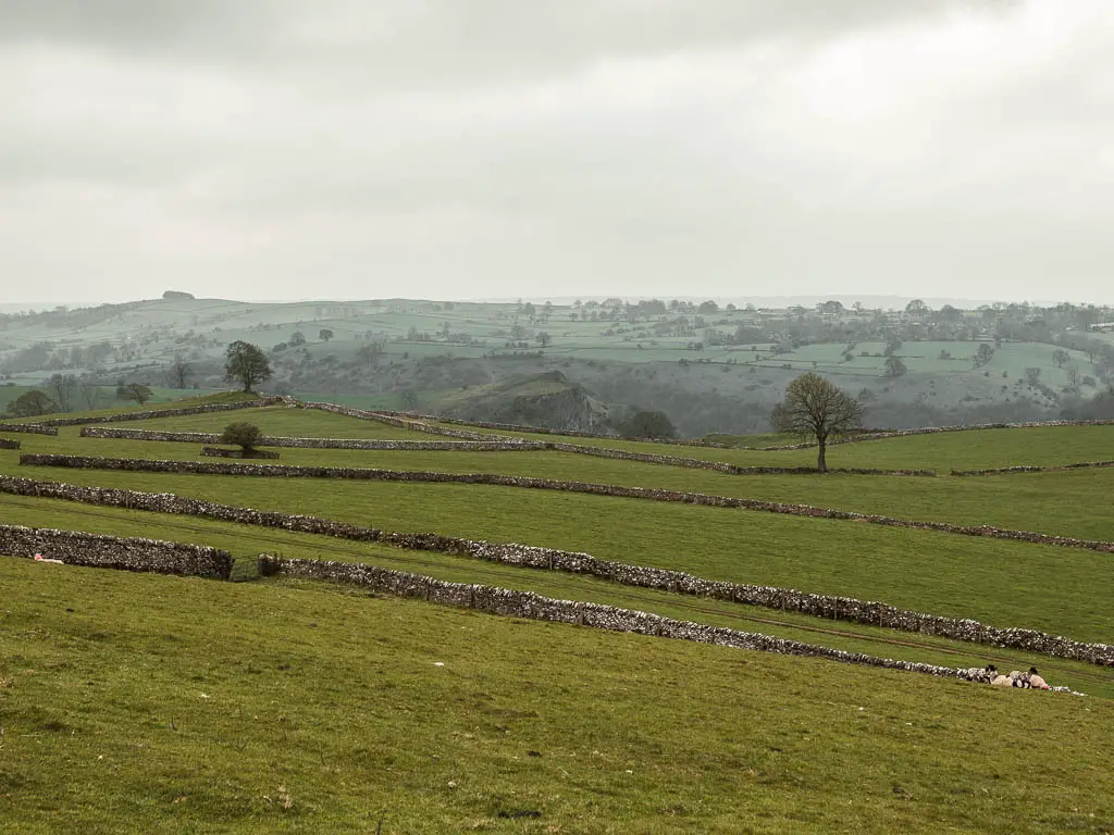 Looking down across the fields with a view to Thor's Cave, near the end of the walk. There are stone walls cutting across the fields.