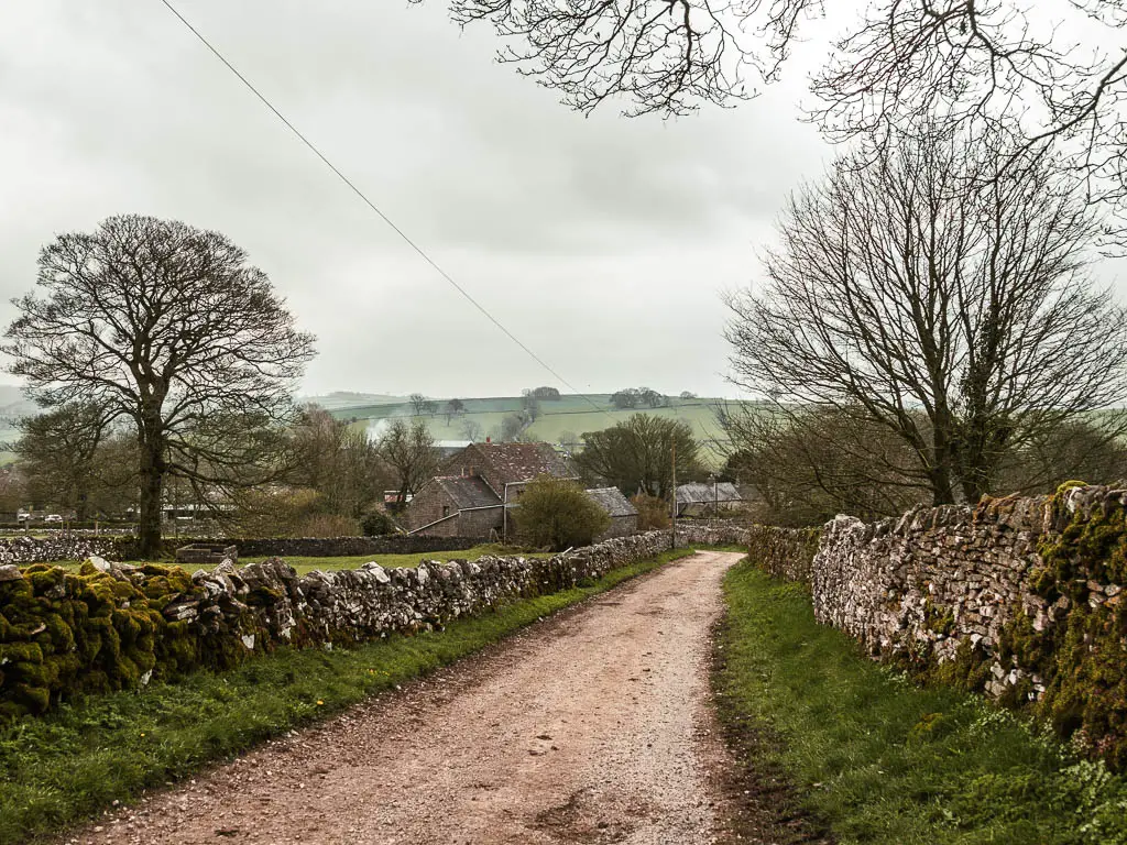 A road lined with small grass banks and stone walls, leading back into Wetton, at the end of the Thor's Cave walk.