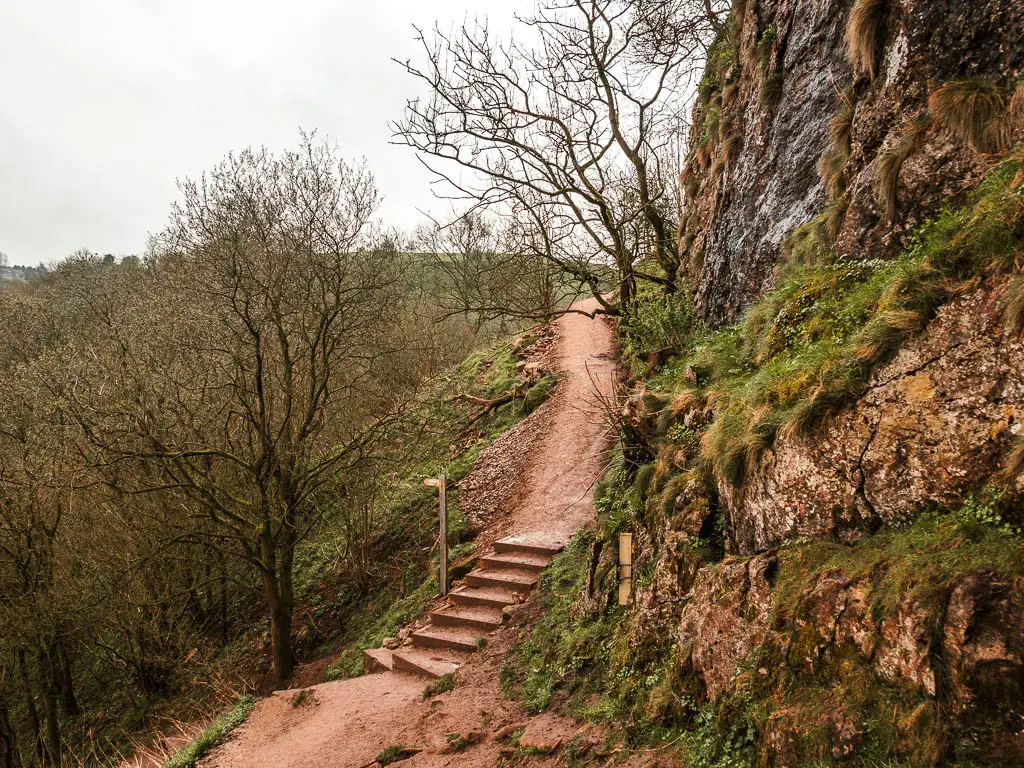 Looking down the edge of the cliffside, to the trail with steps below.