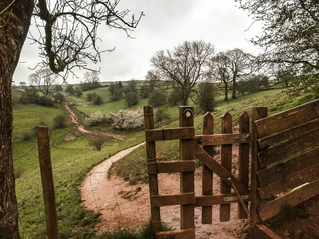 A wooden gate with an arrow pointing ahead, towards a trail running across the undulating field, on the walk back to Wetton from Thor's Cave.