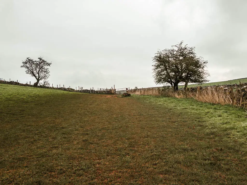 A large grass field, enclosed with a fence to the right and ahead.