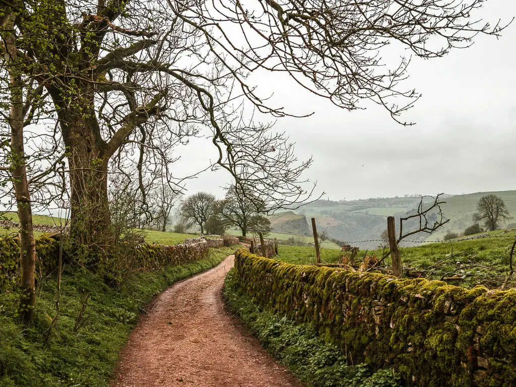 A path lined with a grass bank to the left and a moss covered stone wall on both sides, along the easy trail to walk towards Thor's Cave.