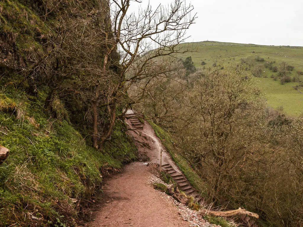 Looking down along the path towards some steps below, with a drop to the right down the woodland covered cliff.