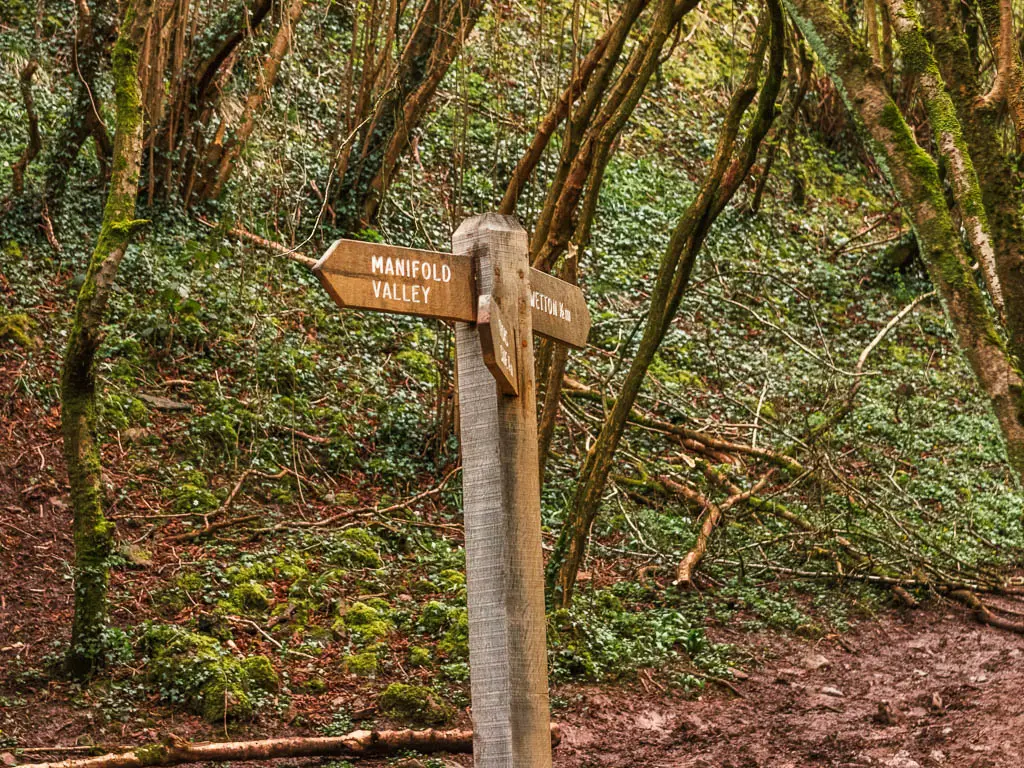 A wooden trail signpost pointing left for the Manifold Valley, on the longer circular Thor's Cave walk route.