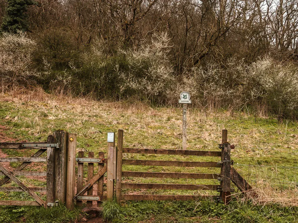 A wooden gate and fence with a hill and woodland on the other side, and a sign saying 'Ladyside'.