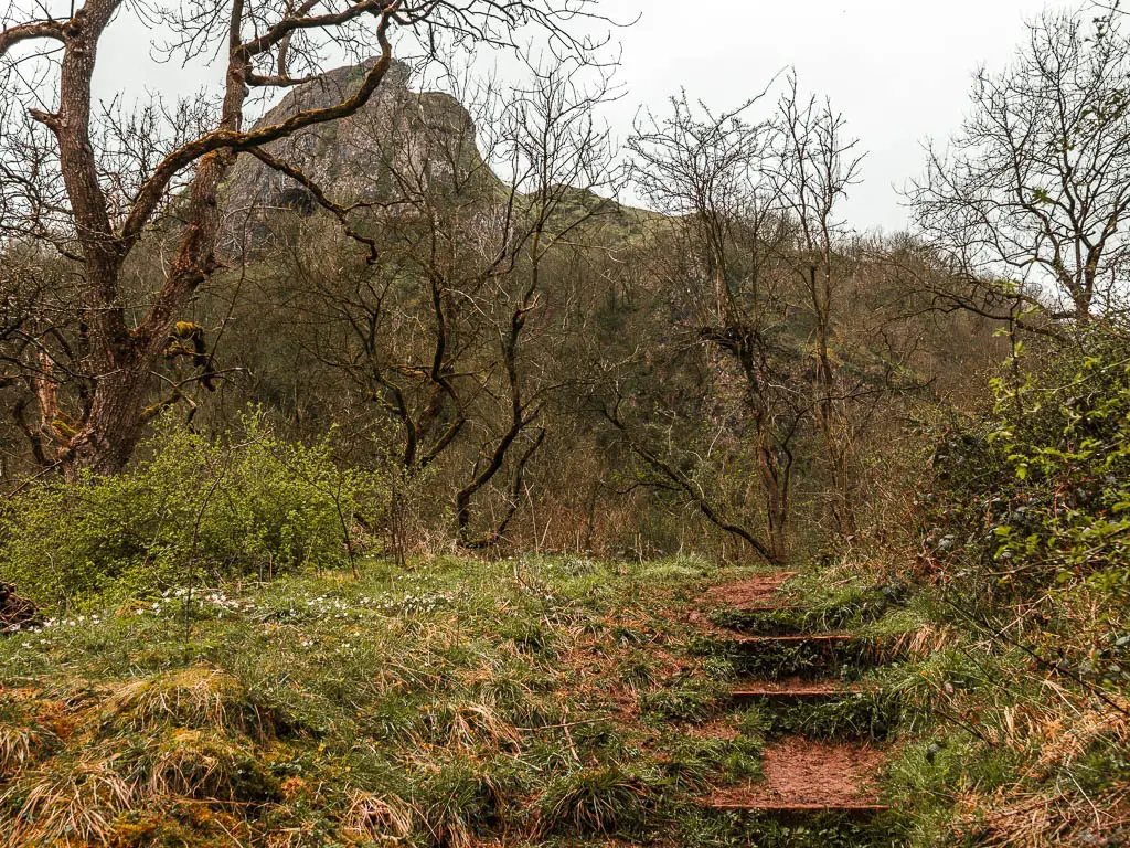 Steps Lon the walk up the hill, with a view to Thor's Cave through the straggly leafless trees to the left.