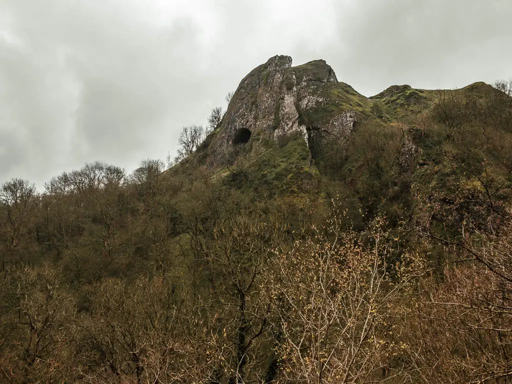 Looking across the trees towards the cliff with the black hole of Thor's Cave, when walking up the hill.