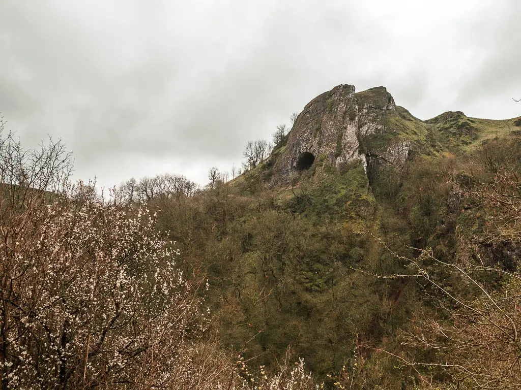 Looking across the trees towards the cliff with the black hole of Thor's Cave, part way through the walk in the Peak District.