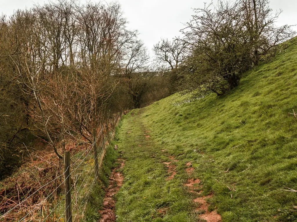 The bottom of a grass hill side, with a wire fence on the left, and woodland on the other side.