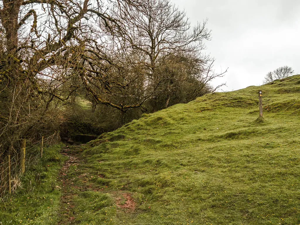 A grass dirt trail on the bottom of a small hill, with a wooden trail sign post up the hill on the right. There is a wire fence on the left of the trail.