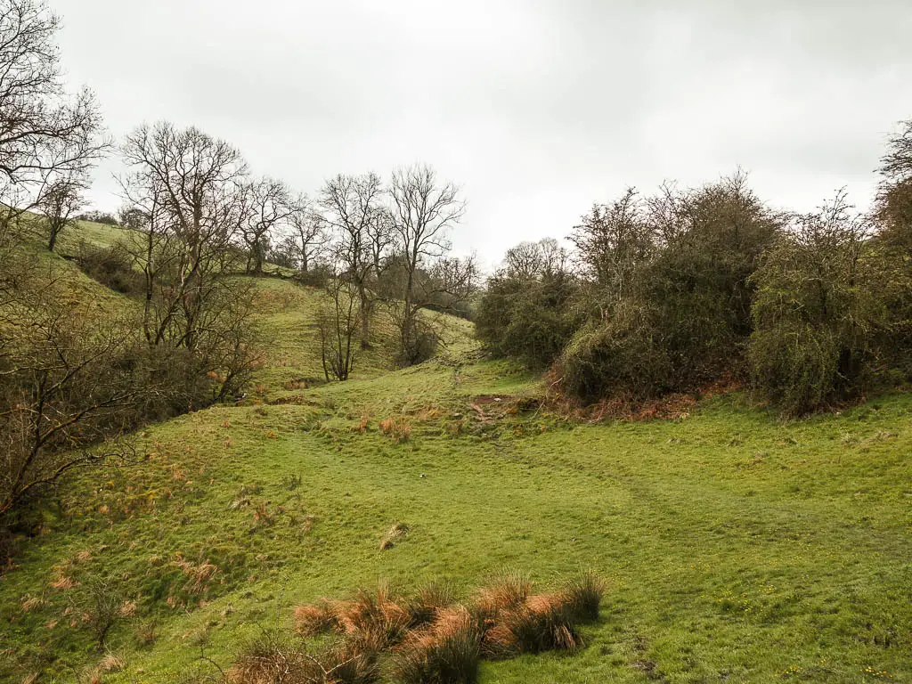 A undulating grass field with bushes dotted about on the circular Thor's Cave walk route.