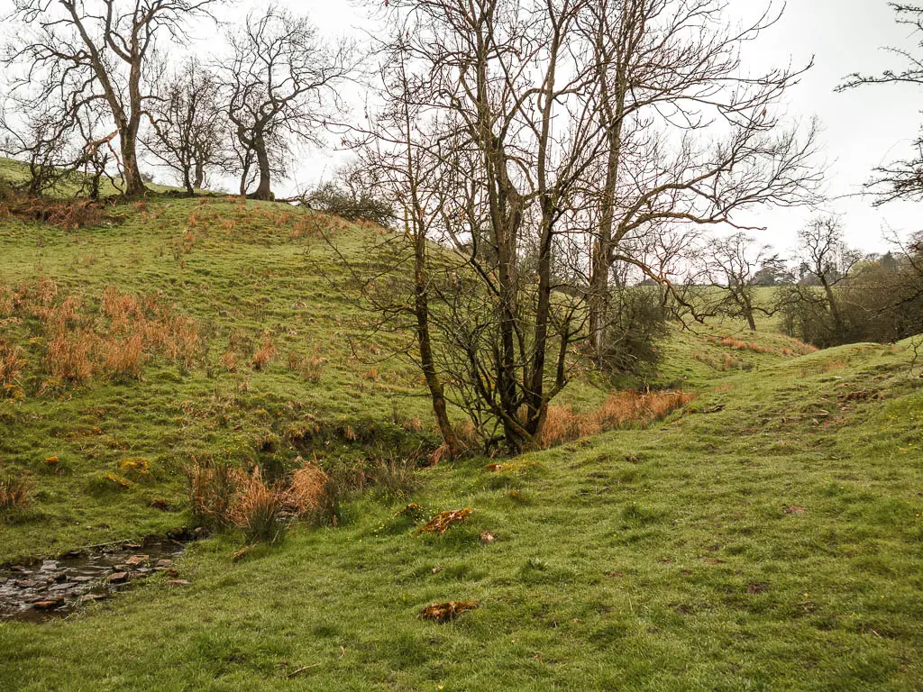 A dip in the hills, with a small stream just visible on the left. 