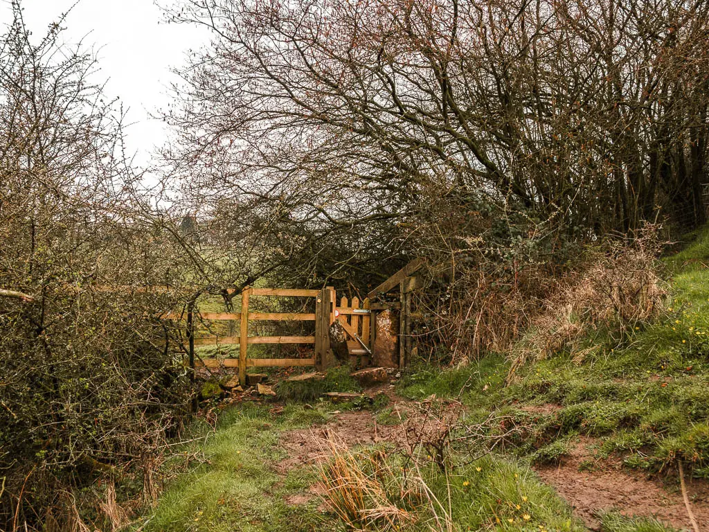 The rugged dirt trail leading towards a wooden gate, which is surround by bushes and trees.