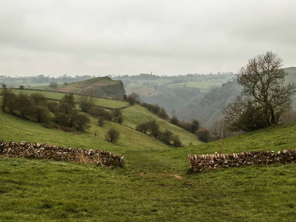 Walking down the grass hill into the valley, with the cliff of Thor's Cave ahead in the distance, at the start of the short walk. There is a stone wall with a gap across the hill.