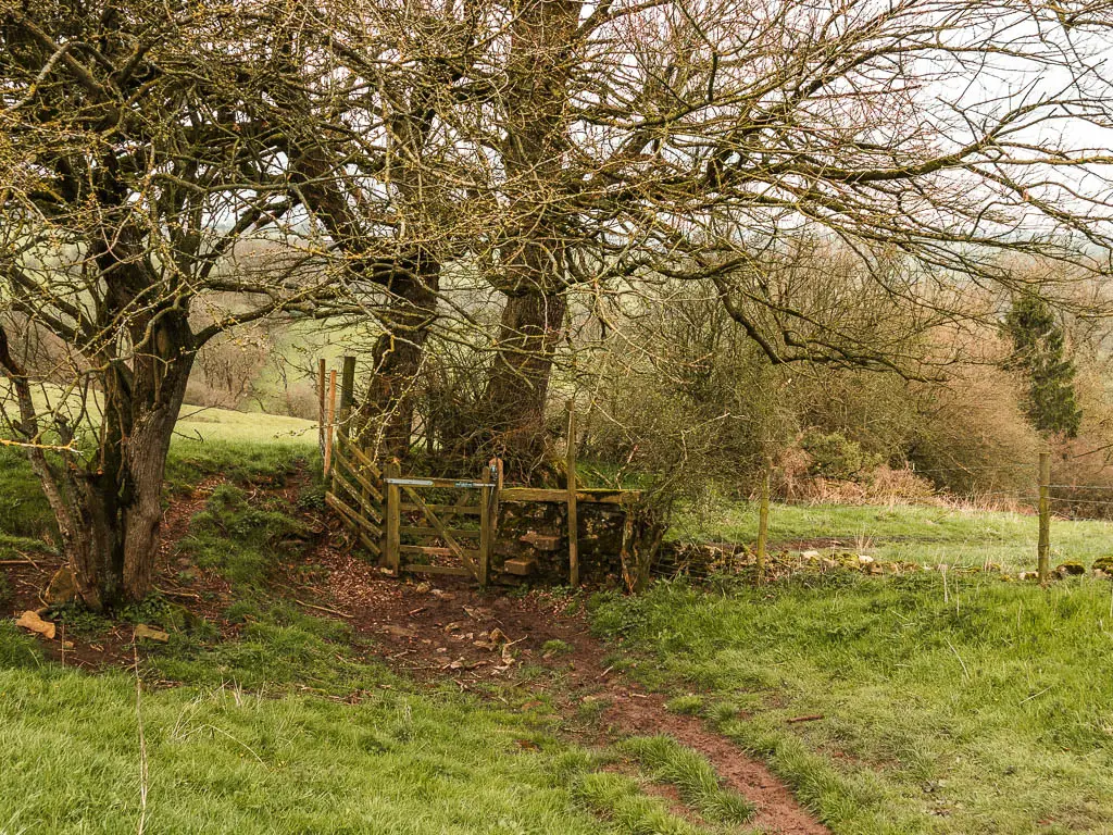 A dirt trail leading towards a wooden gate, surround by a few big trees with leafless branches. 