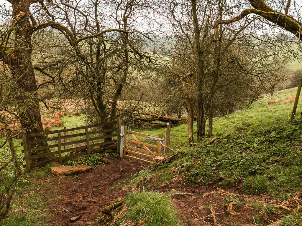 A rugged dirt trail with tree roots, leading to a wooden gate. The gate is surrounded by a few trees without leaves.