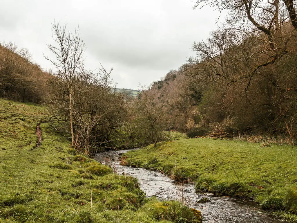 The brook flowing through the bottom of the valley, lined with grass and a mass of woodland trees to the right side of it.