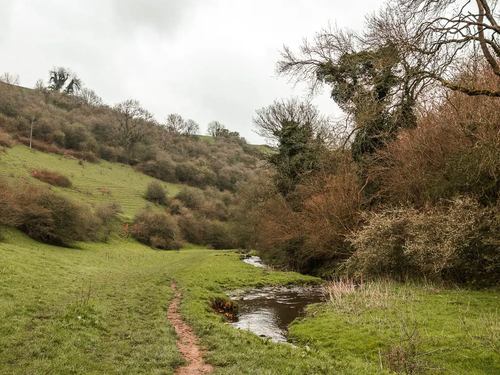 A small stream running through the bottom of the Manifold Valley, with trees and bushes up the hills. 