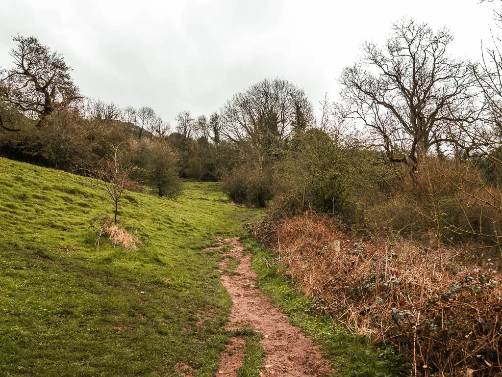 A dirt trail leading uphill, with grass to the left and bushes to the right.