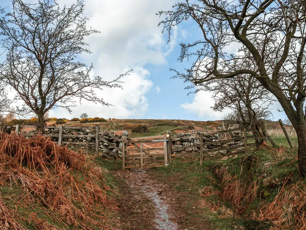 A muddy trail leading to a wooden gate in the stone wall. 