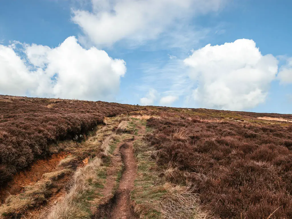 A dirt trail leading uphill through the brown heather. The sky is blue with some fluffy white clouds.