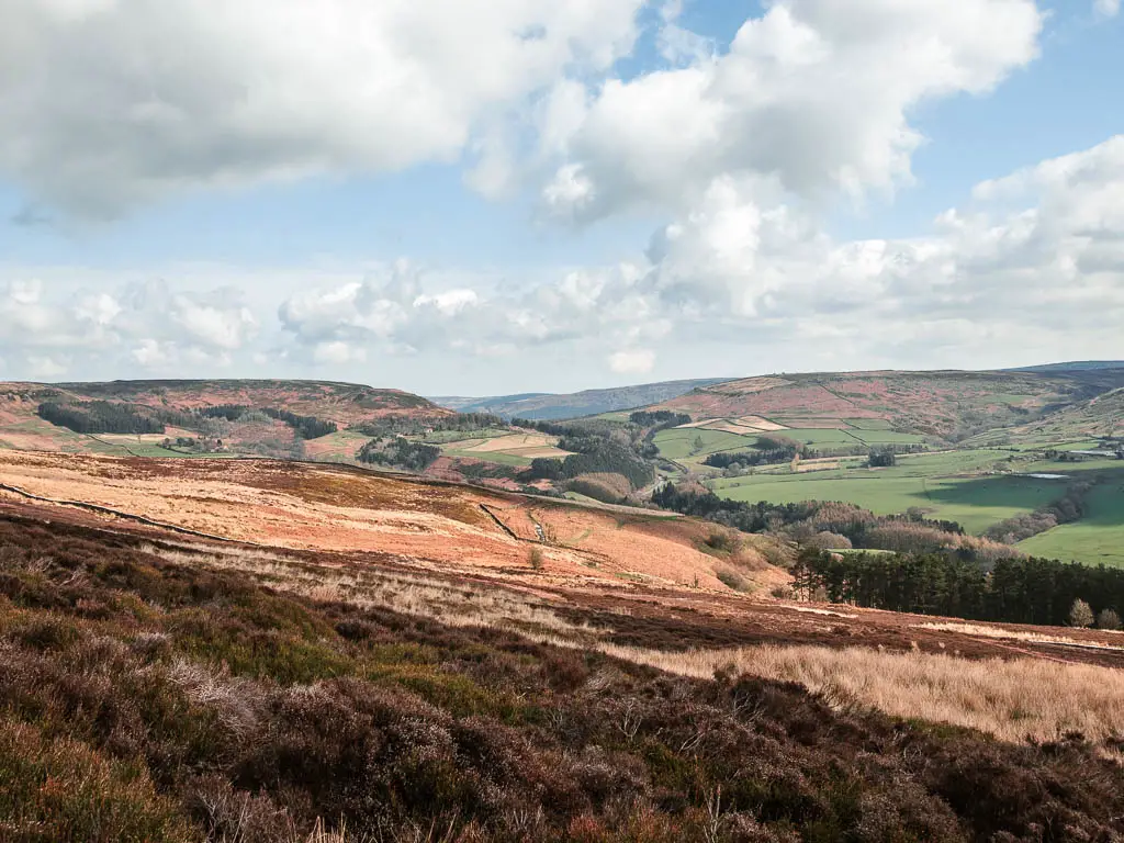 looking along the hills side of heather to the valley and hills in the distance on the walk towards the Wainstones.