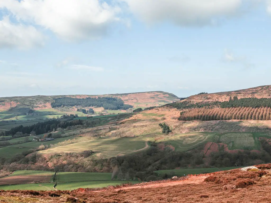 Looking down into the valley and hills rising beyond, with fields of green and beige, and groups of trees dotted about.