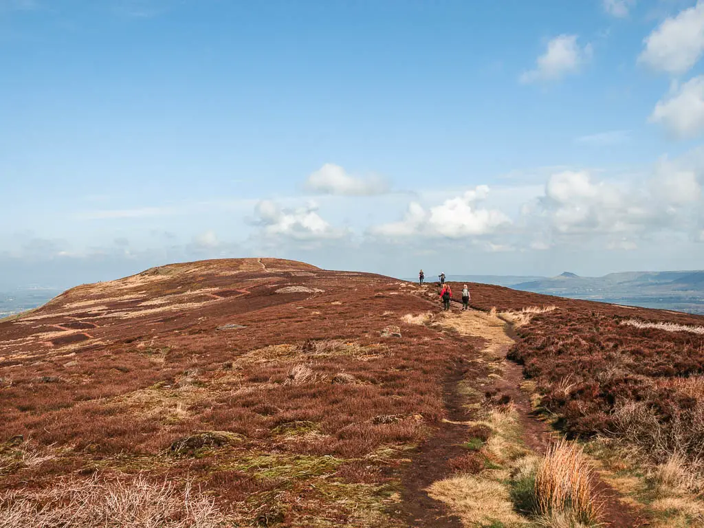 A trail leading through the heather towards the top of the hill, with a fern people walking along it.