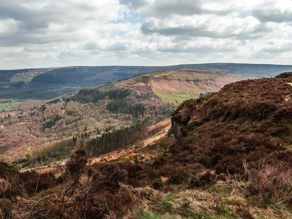 Looking down the hill to the valley filled with masses of trees, and heather on the hillside, on the walk away from the Wainstones.