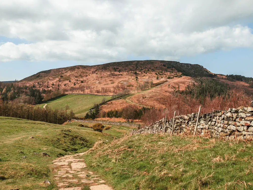 Looking down the stone paved trail as it cuts through a dip in the hill, with an orange coloured hill rising beyond, on the circular walk back from the Wainstones.