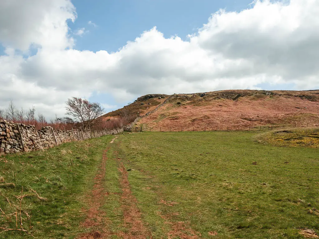 A dirt trail through the grass field, leading up the hill ahead, with a stone wall on the left.