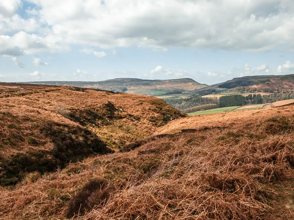 Looking into a ditch between the hills covered in dead orange fern and heather. With a view ahead to the valley and hills.